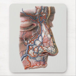 Vintage Science Human Anatomy, Face with Nose Mouse Pad
