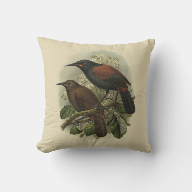 Vintage Science NZ Birds - Saddleback Cushion (Front)