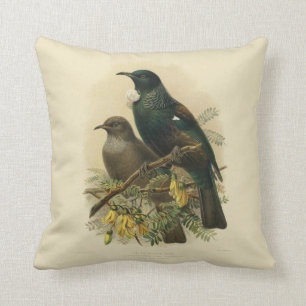Vintage Science NZ Birds - Tui Cushion