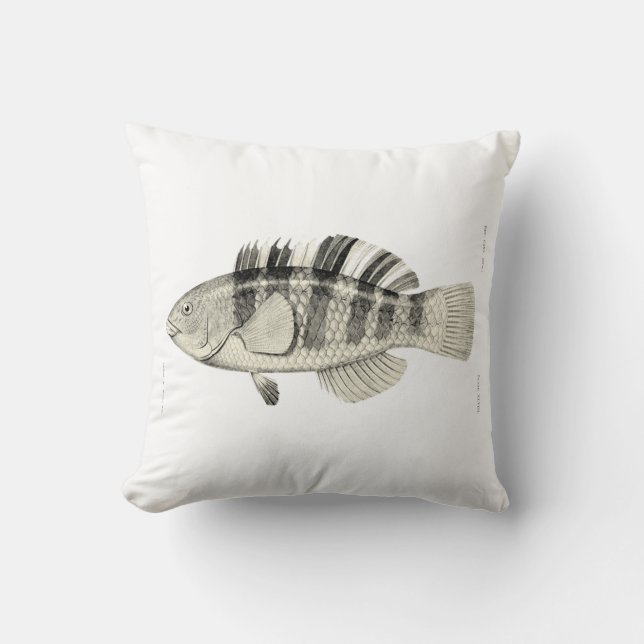 Vintage Science NZ Fish - Banded Parrot Fish Cushion (Front)