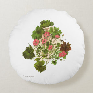 Vintage Science NZ Flowers - Geranium traversii Round Cushion
