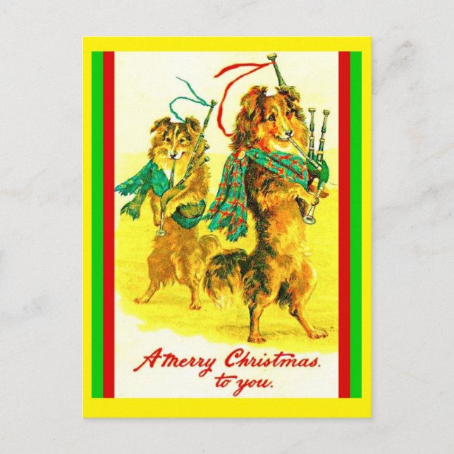 Vintage Scottish Collies, Bagpipes Merry Christmas Postcard (Front)