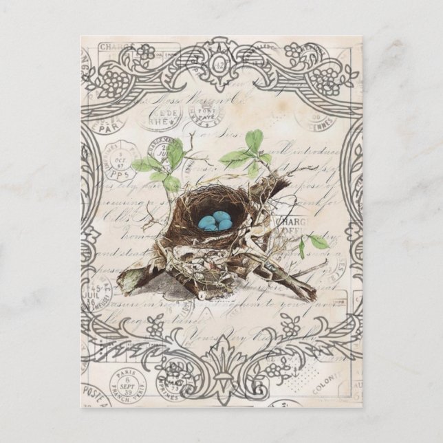 vintage script ephemera bird nest french botanical postcard (Front)
