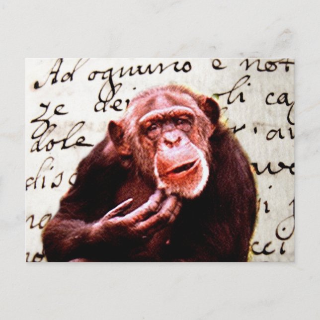 vintage scripts funny Chimpanzee Postcard (Front)