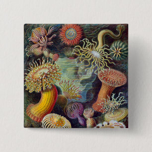 Vintage sea anemones scientific illustration 15 cm square badge