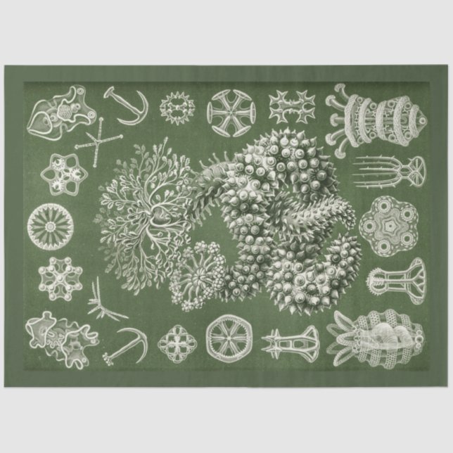 Vintage Sea Life Decoupage Tissue Paper (Front)