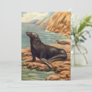Vintage Sea Lion by the Seashore, Marine Mammals