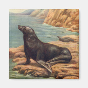Vintage Sea Lion by the Seashore, Marine Mammals Magnet