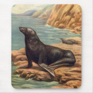 Vintage Sea Lion by the Seashore, Marine Mammals Mouse Pad