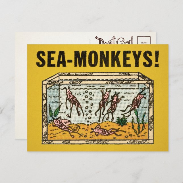 Vintage Sea Monkeys Postcard  (Front/Back)