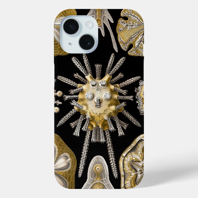 Vintage Sea Urchins Sand Dollars by Ernst Haeckel Case-Mate iPhone Case (Back)