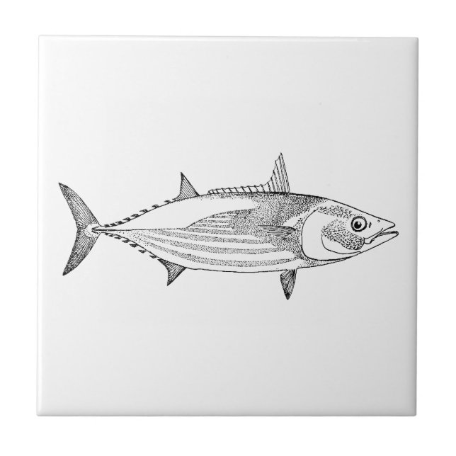 Vintage Seafood Fish Art - Skipjack Tuna Tile (Front)