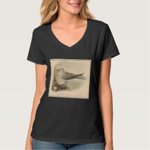 Vintage Seagull Illustration 1906 T-Shirt