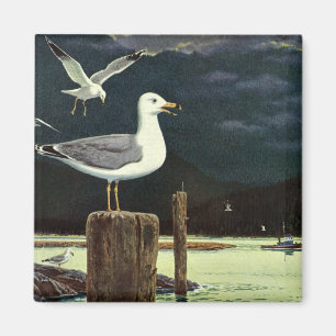 Vintage Seagull Perched Pier, Marine Birds Animals Magnet