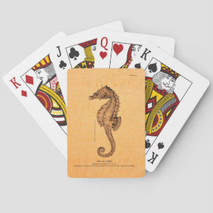Vintage Seahorse Illustration Playing Cards