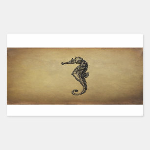 Vintage Seahorse Illustration Rectangular Sticker