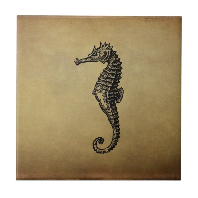 Vintage Seahorse Illustration Tile (Front)