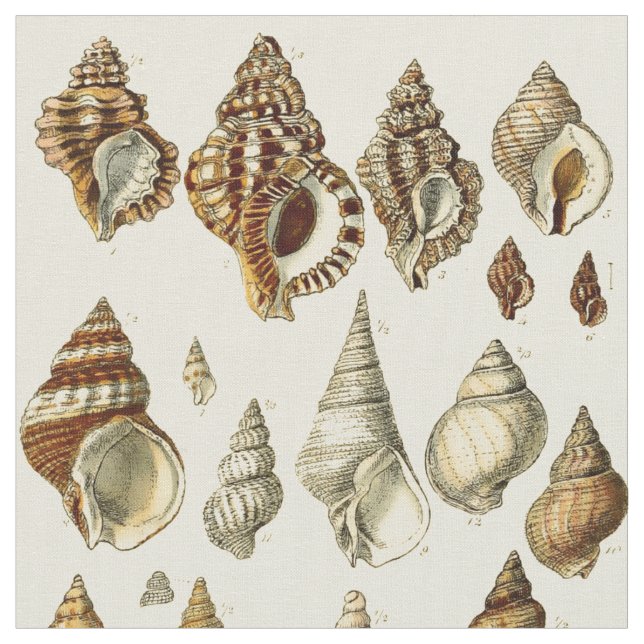 Vintage Seashell Illustrations Pattern Fabric (Close Up)