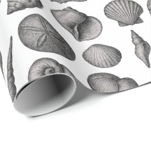 Vintage Seashell Ocean Nature Sketch Pattern Wrapping Paper