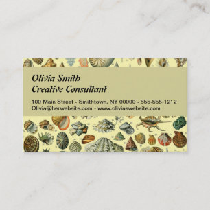 Vintage Seashell Print Adolphe Millot Coastal Business Card