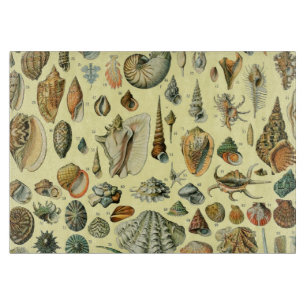 Vintage Seashell Print Adolphe Millot Coastal Cutting Board