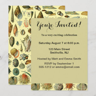 Vintage Seashell Print Adolphe Millot Coastal  Invitation