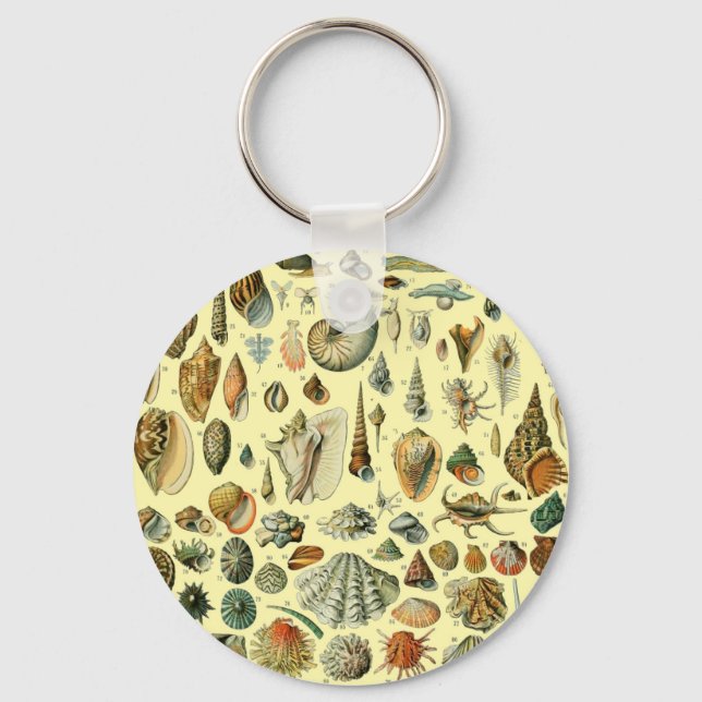 Vintage Seashell Print Adolphe Millot Coastal  Key Ring (Front)