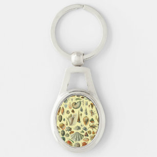 Vintage Seashell Print Adolphe Millot Coastal Key Ring