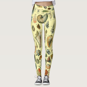 Vintage Seashell Print Adolphe Millot Coastal Leggings
