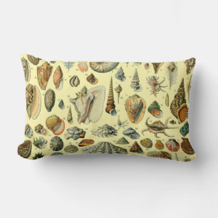 Vintage Seashell Print Adolphe Millot Coastal Lumbar Cushion