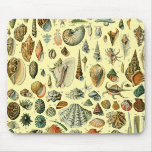 Vintage Seashell Print Adolphe Millot Coastal Mouse Pad
