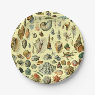 Vintage Seashell Print Adolphe Millot Coastal Paper Plate
