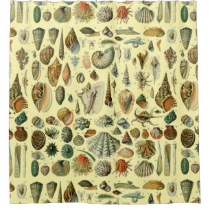 Vintage Seashell Print Adolphe Millot Coastal Shower Curtain