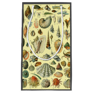Vintage Seashell Print Adolphe Millot Coastal Small Gift Bag