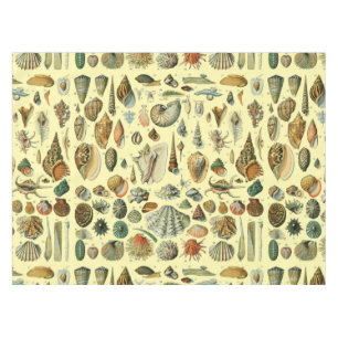 Vintage Seashell Print Adolphe Millot Coastal Tablecloth