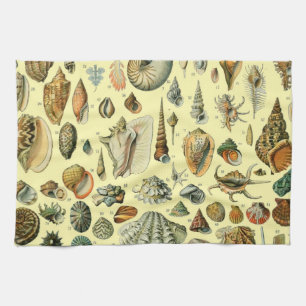 Vintage Seashell Print Adolphe Millot Coastal Tea Towel