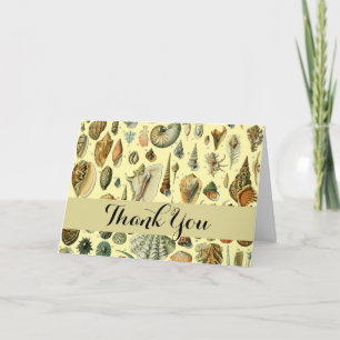 Vintage Seashell Print Adolphe Millot Coastal Thank You Card