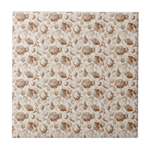 Vintage Seashell Toile Coastal Pattern (2) Tile