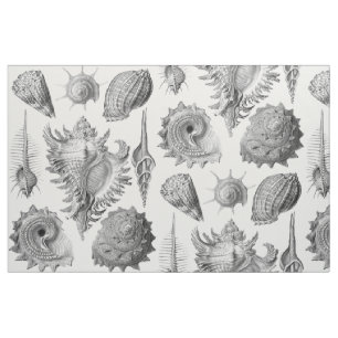 Vintage Seashells Fabric