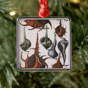 Vintage Seashells, Marine Life, Ocean Sea Shells Metal Tree Decoration