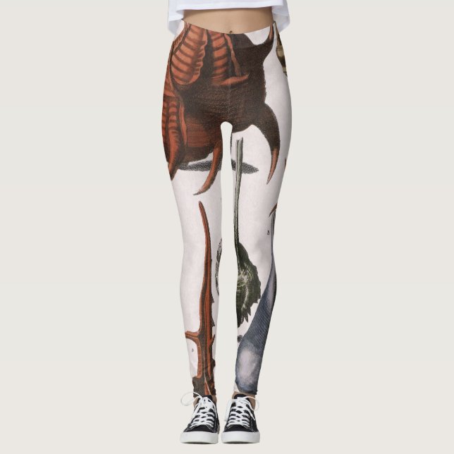 Vintage Seashells, Ocean Sea Shells Marine Life Leggings (Front)