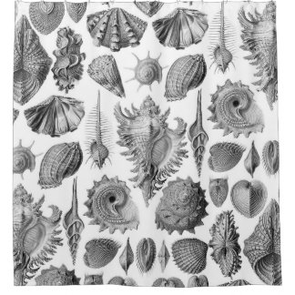 Vintage Seashells Shower Curtain
