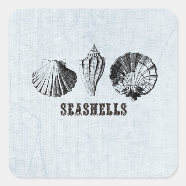 Vintage Seashells Square Sticker (Front)