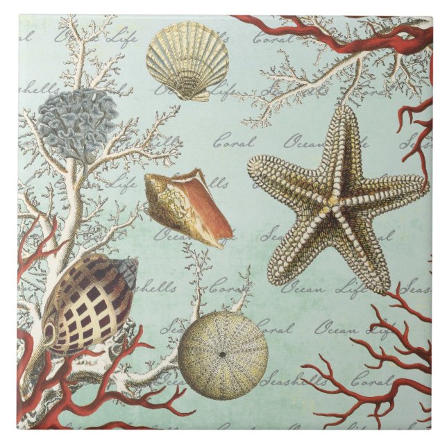 Vintage Seashells...tile Tile (Front)