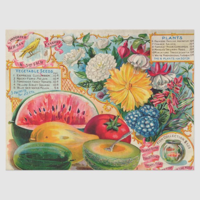 Vintage Seed Ad Fruit and Flowers  Tissue Paper (Front)