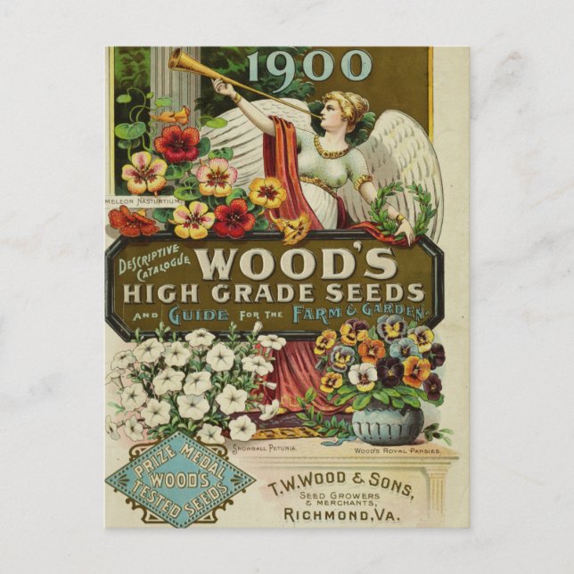 Vintage Seed Ad Postcard (Front)