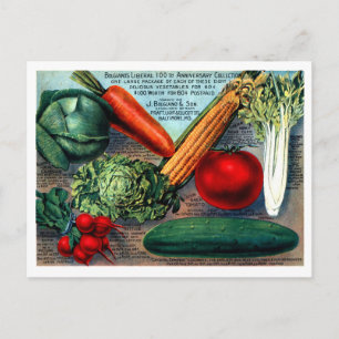 Vintage Seed Ad Postcard
