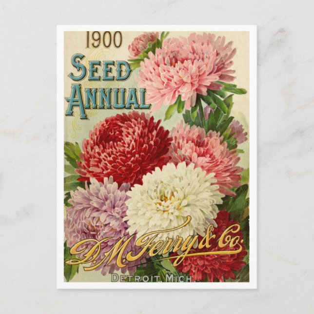Vintage Seed Ad Postcard (Front)