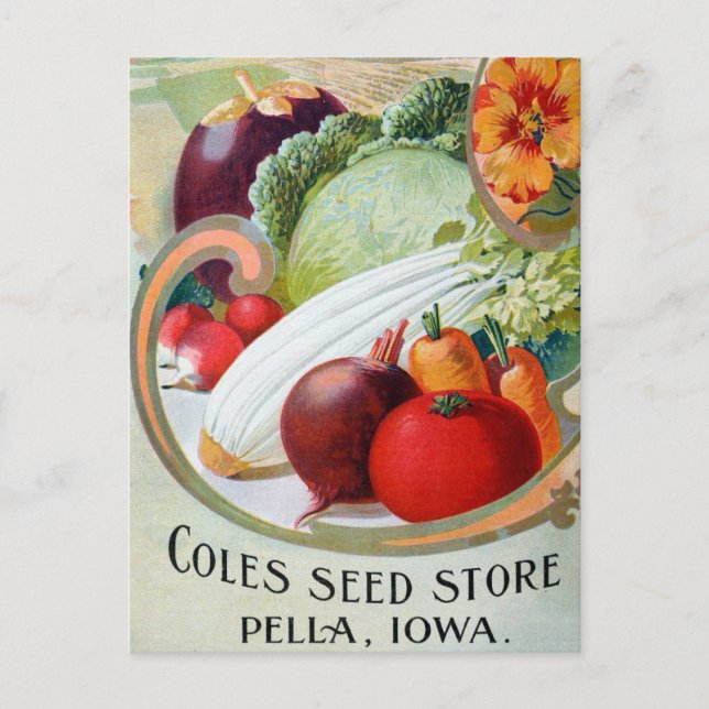 Vintage Seed Ad Postcard (Front)