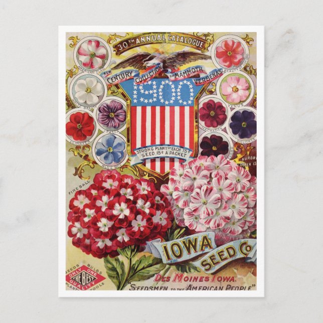 Vintage Seed Ad Postcard (Front)